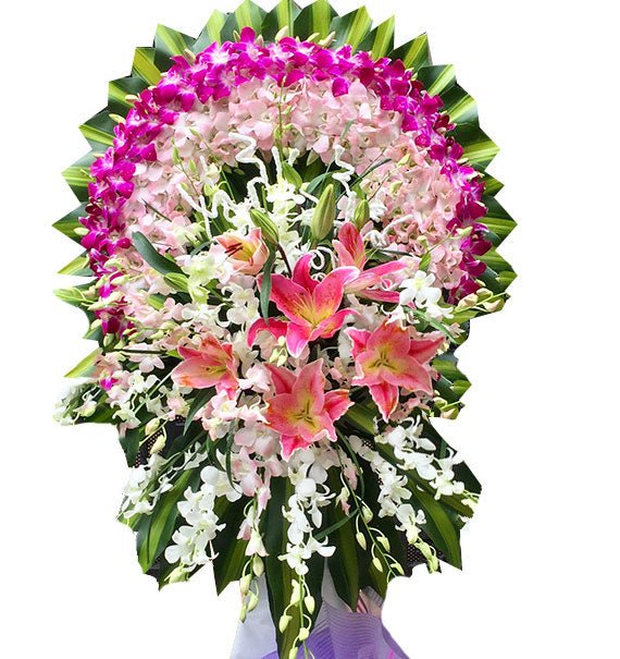 Cõi An Yên - Hoa Sài Gòn