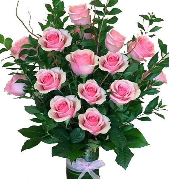 Con Đường Rực Rỡ - Hoa Sài Gòn