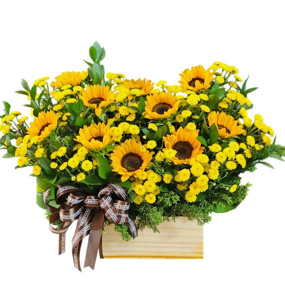 Công Danh - Hoa Sài Gòn