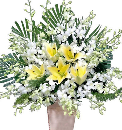 Công Đức Sinh Thành Muôn Đời Ghi Nhớ