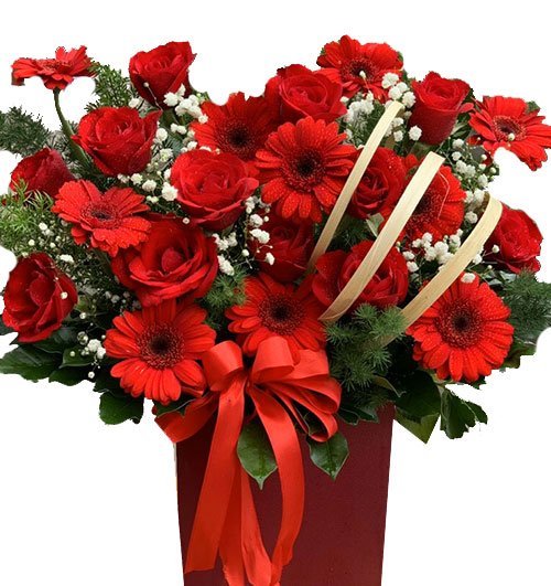 Congratulations - Hoa Sài Gòn