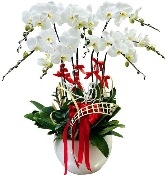 Cuộc Sống Muôn Màu