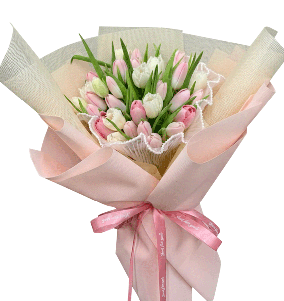 Đa Sắc Thanh Lịch