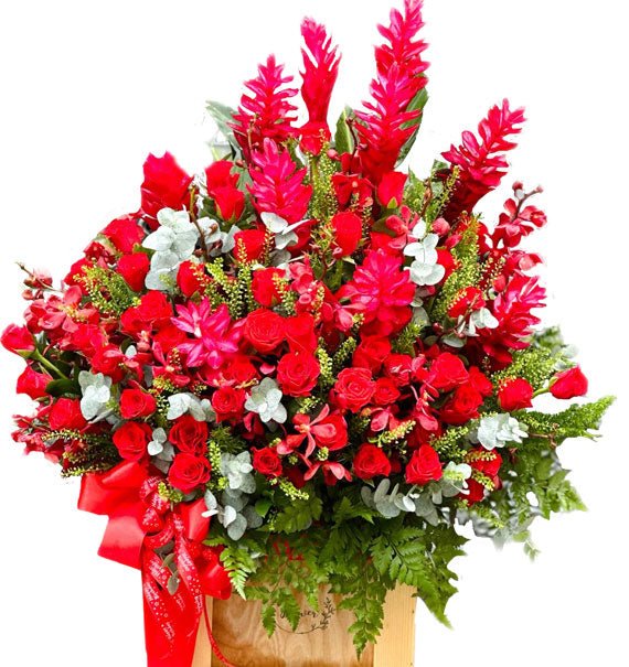 Đại Cát Đại Lợi - Hoa Sài Gòn