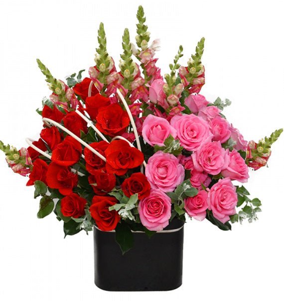 Đại Lộc Phúc Khang