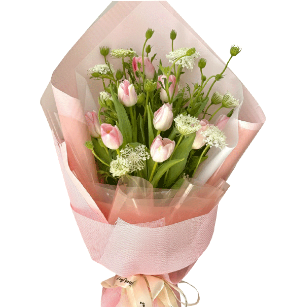 Dáng Hồng Kiêu Sa