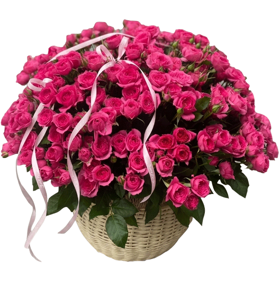 Đẹp Bền Lâu