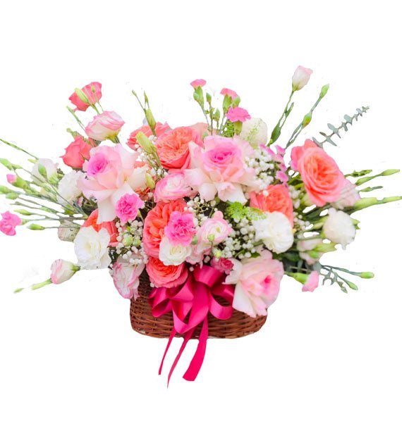 Đẹp Mãi Với Thời Gian