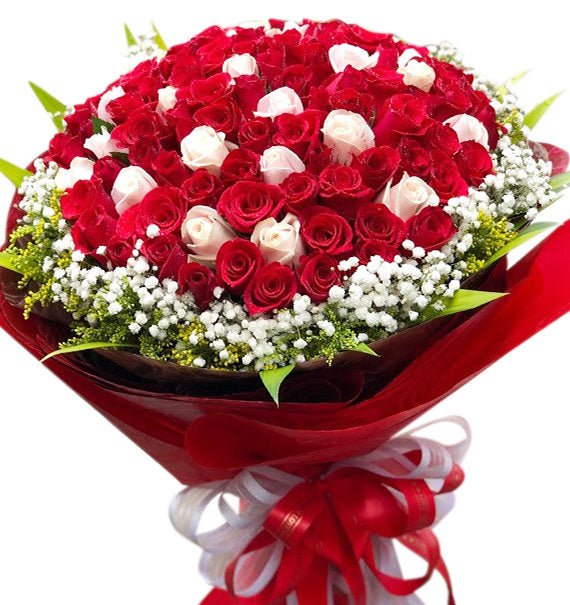 Điều Muốn Nói - Hoa Sài Gòn