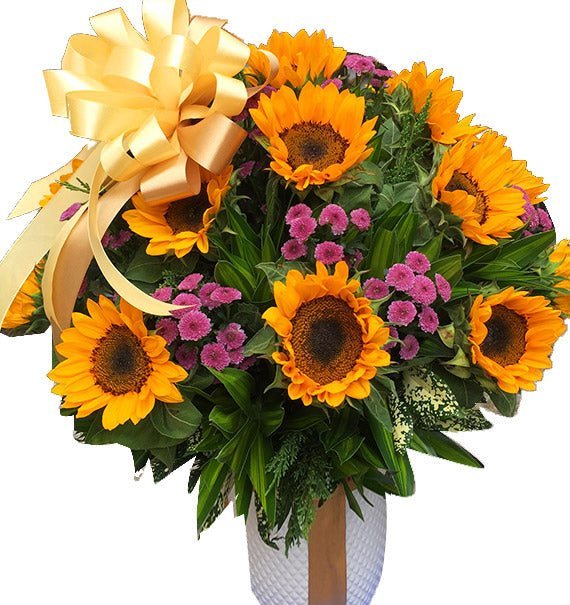 Đỉnh Cao - Hoa Sài Gòn