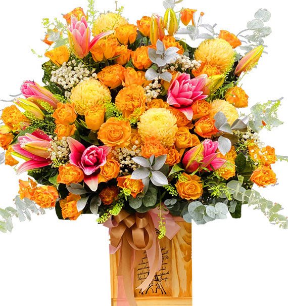 Dịu Dàng Mùa Rực Rỡ