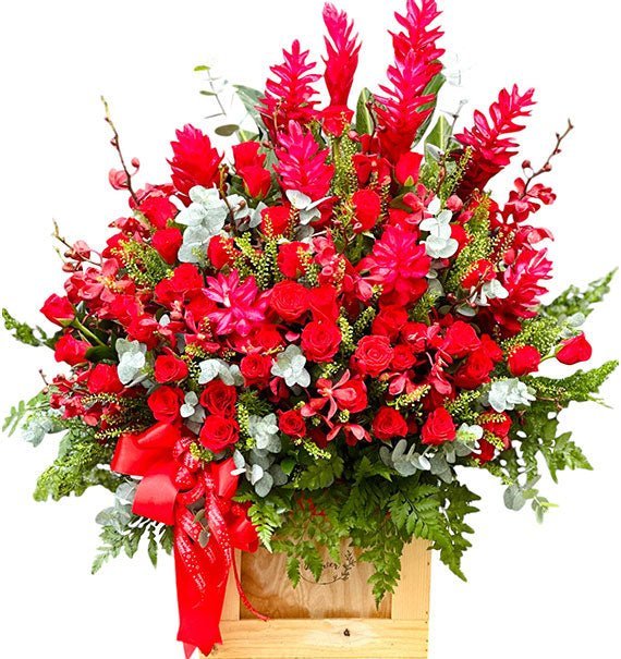 Đỏ Như Lời Anh Nói