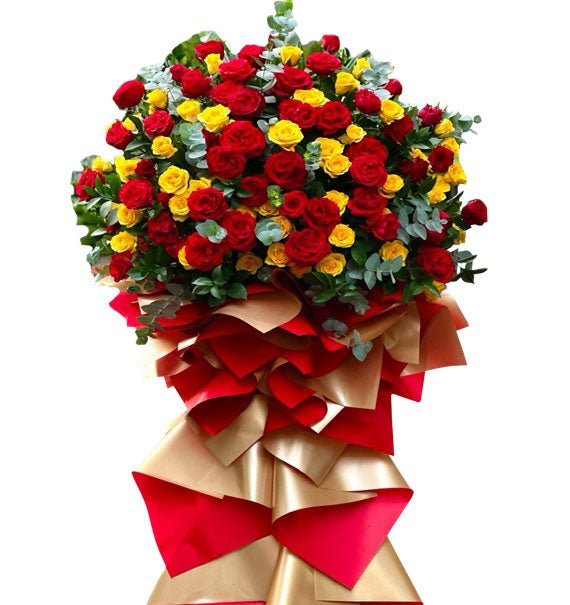 Đỏ Thắm - Hoa Sài Gòn