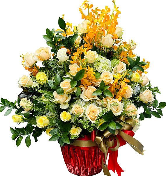 Đón Ánh Bình Minh