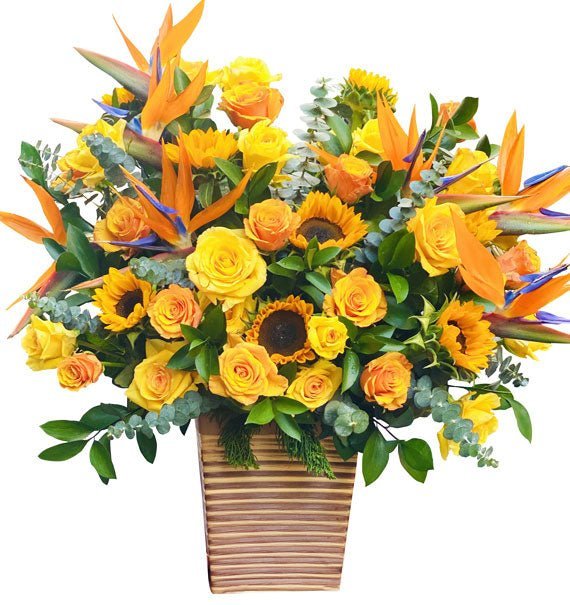 Đồng Hành - Hoa Sài Gòn