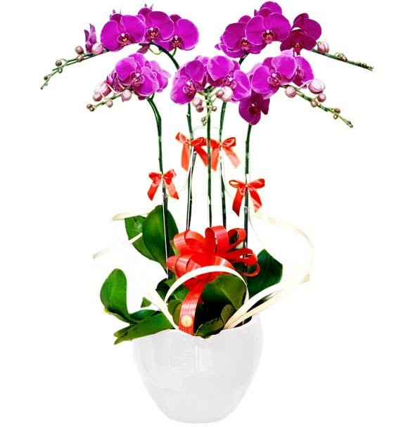 Đủ Chất -  Đủ Gu - Đủ Ý