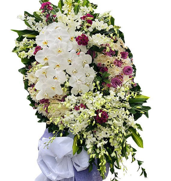 Đưa Tiễn - Hoa Sài Gòn