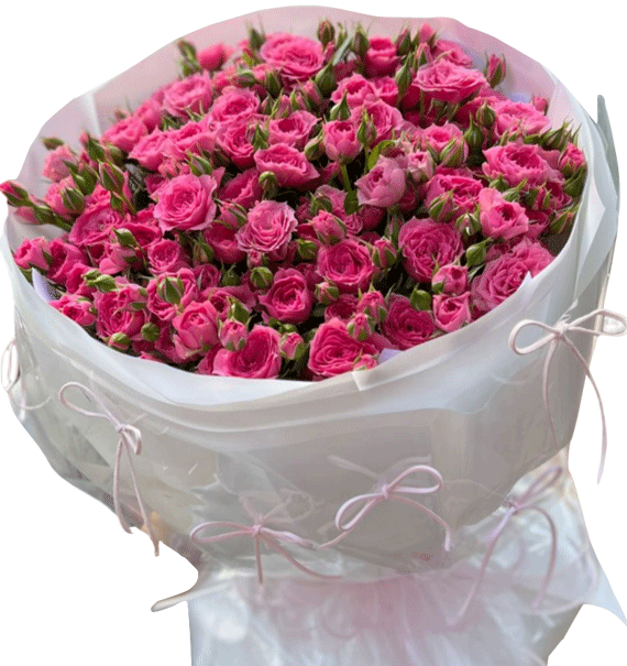 Em Là Dịu Dàng Nhất