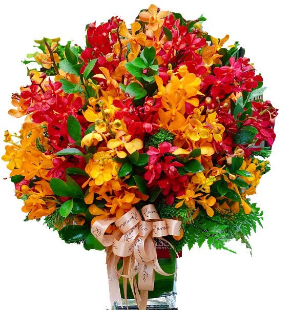 Gắn Kết - Hoa Sài Gòn