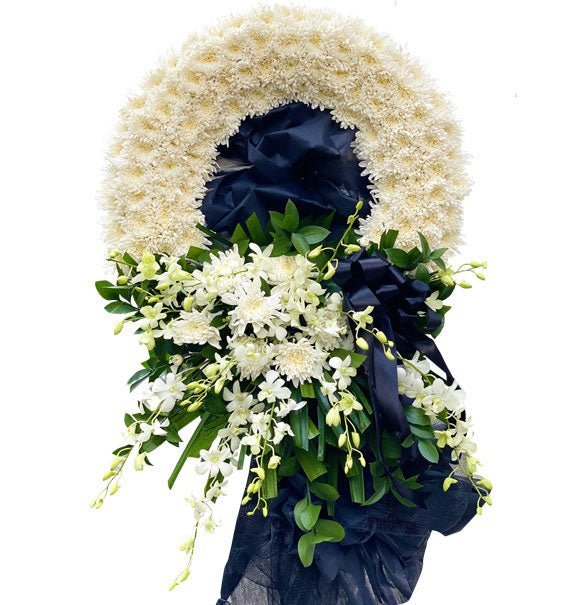 Giấc Ngủ Ngàn Thu An Lành - Hoa Sài Gòn