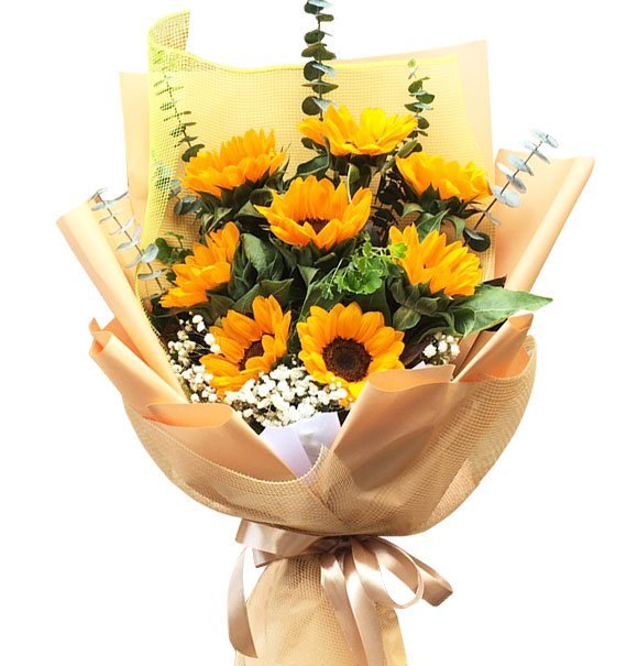 Giây Phút Huy Hoàng