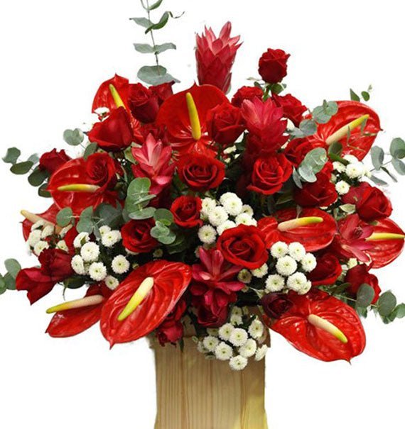 Gieo Hạt Bình Yên