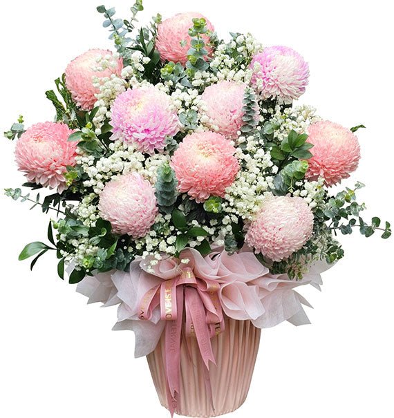 gio cuc mau don hong pastel