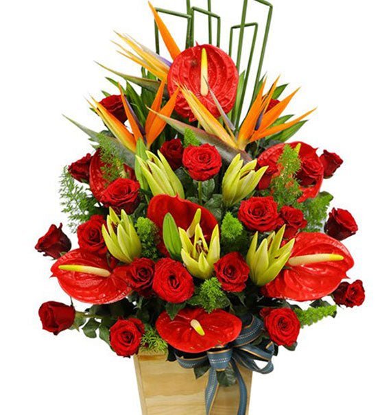 Gió Lạnh Đầu Ngõ