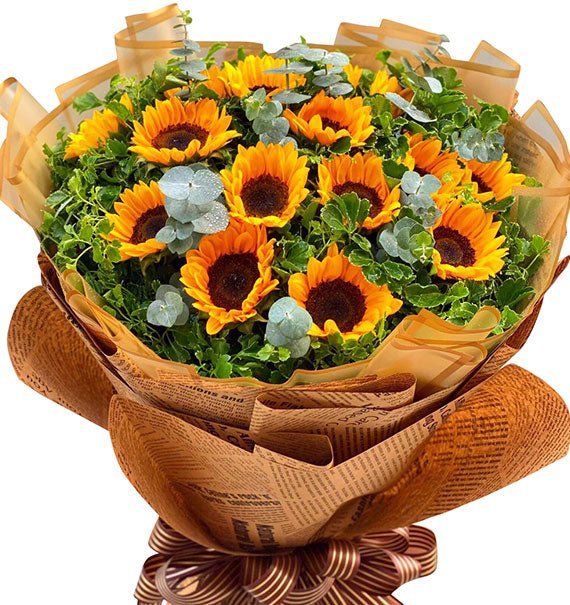 Giọt Nắng - Hoa Sài Gòn