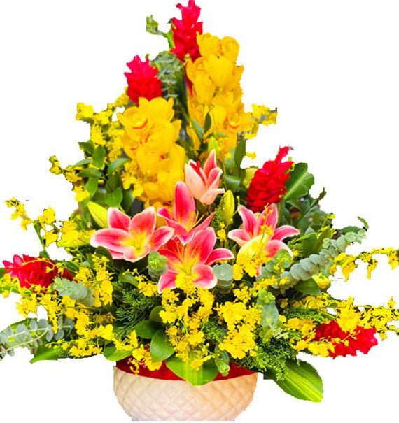 Glow Up Together - Hoa Sài Gòn