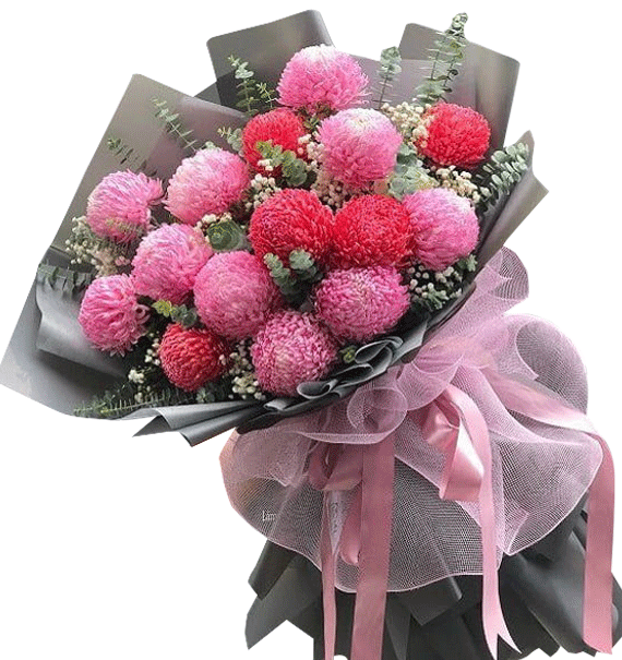 Gửi Làn Gió Nhẹ