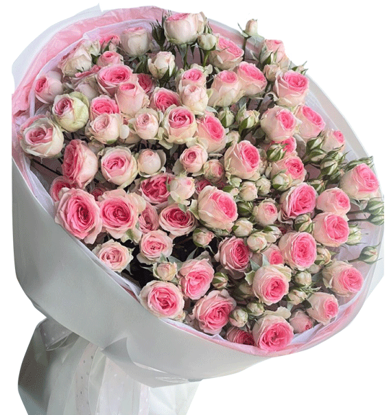 Gửi Trọn Tấm Lòng