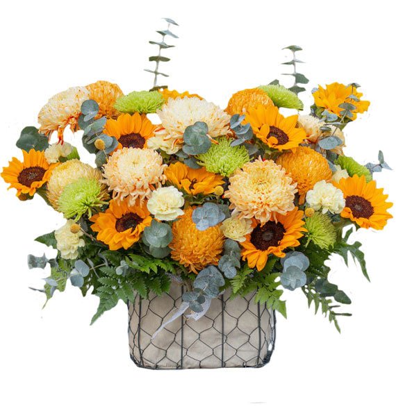 Hạnh Phúc Bình Dị