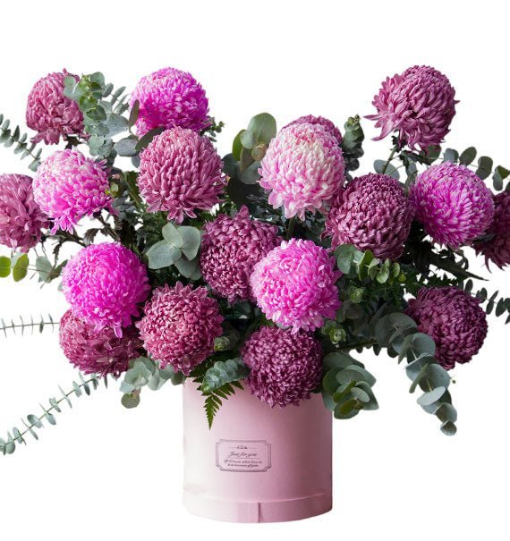 Hạnh Phúc & Đủ Đầy