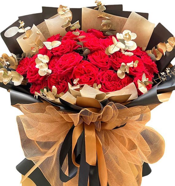 Hạnh Phúc Ghé Thăm