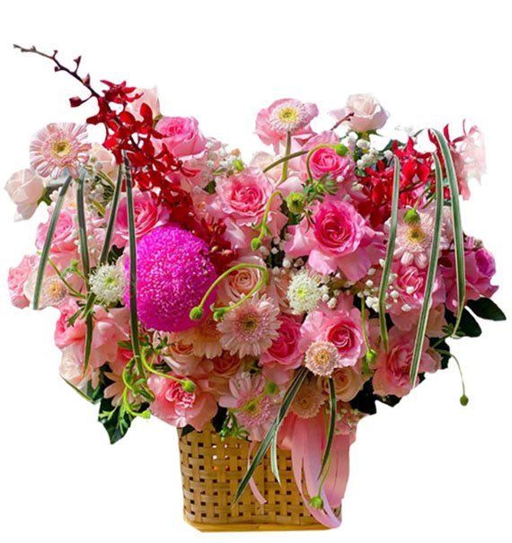 Hạnh Phúc Tràn Đầy - Hoa Sài Gòn