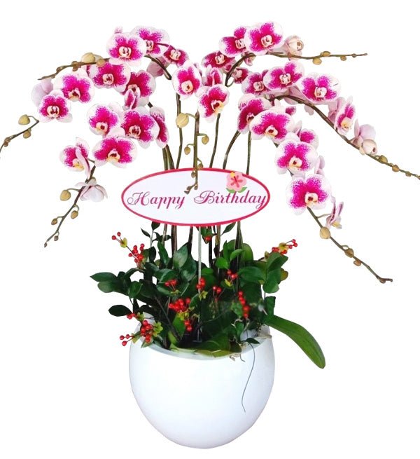 Hạnh Phúc Tuôn Trào