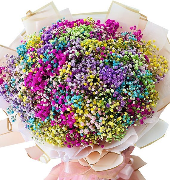 Hành Trình Rực Rỡ