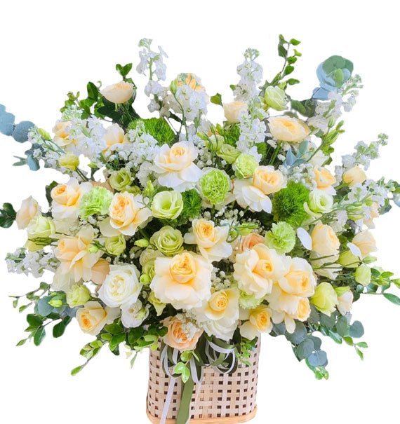 Hào Quang - Hoa Sài Gòn