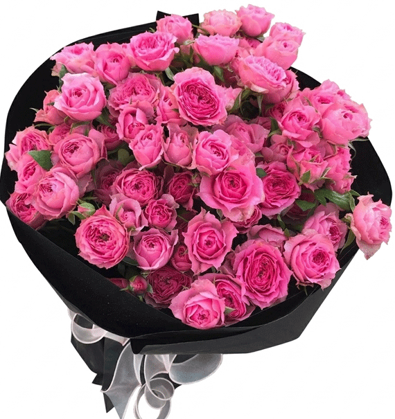 Happy Pink Day