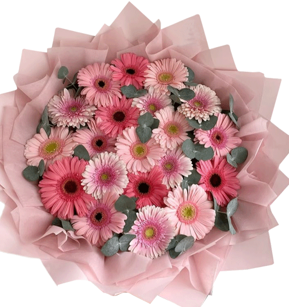 Hẹn Hò Màu Hồng