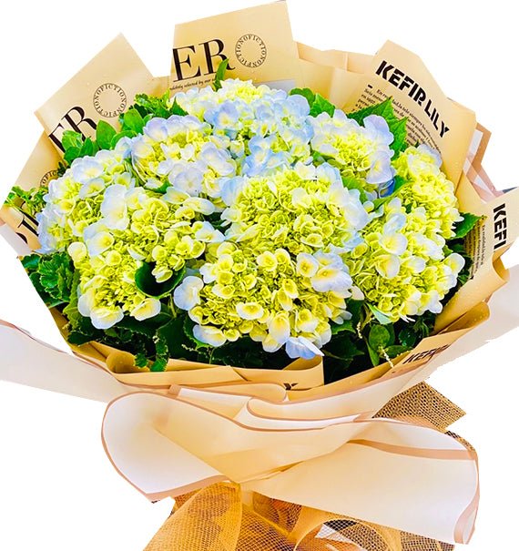 Hoa Cầu Kể Chuyện