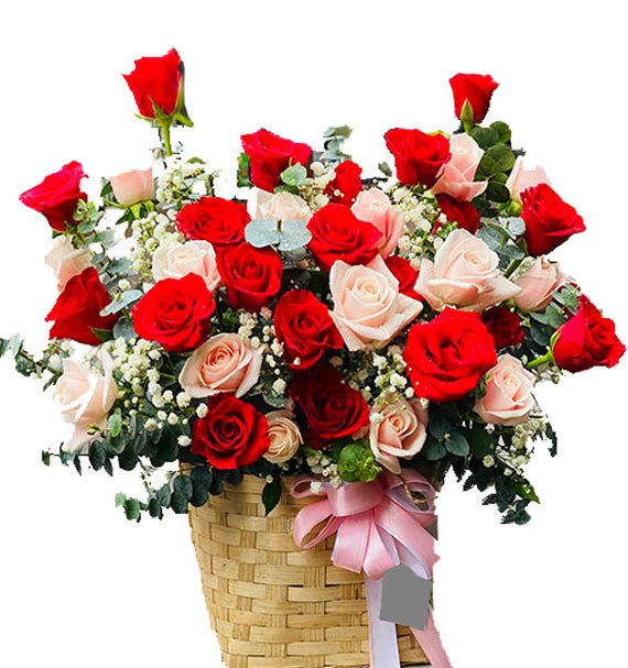 Hoa Chúc Mừng Giá Rẻ - Hoa Sài Gòn