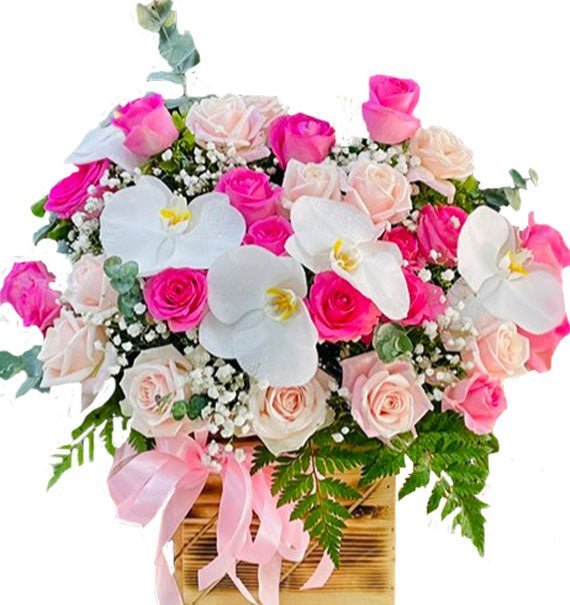 Hoa Chúc Mừng Hồng Mix & Lan Hồ Điệp - Hoa Sài Gòn