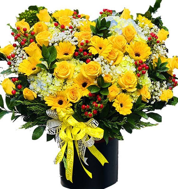 Hoa Chúc Mừng Sài Gòn - Hoa Sài Gòn