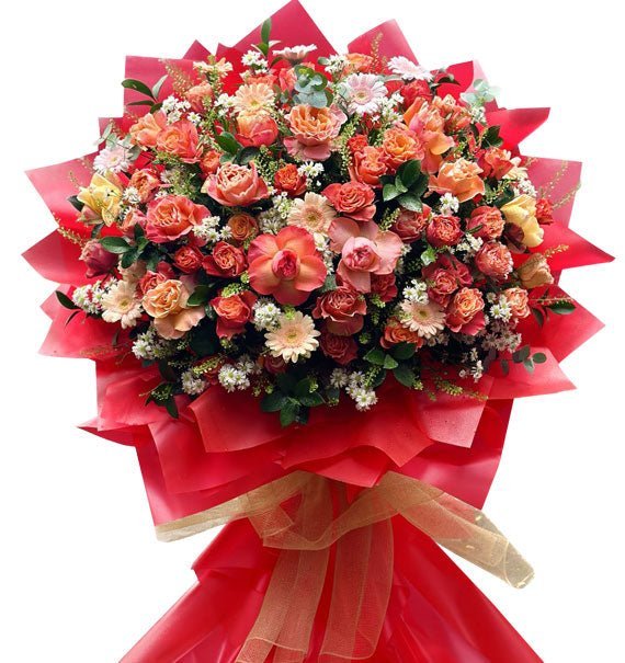 Hoa Hồng Cam Đồng Tiền - Hoa Sài Gòn