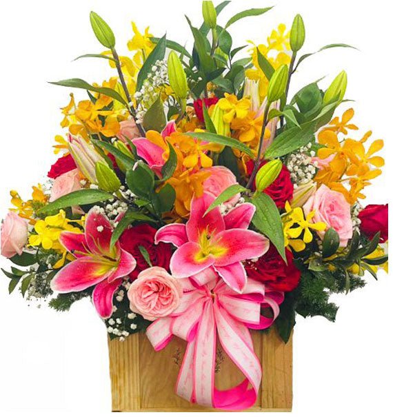 Hoa Hồng Đỏ Chúc Mừng - Hoa Sài Gòn