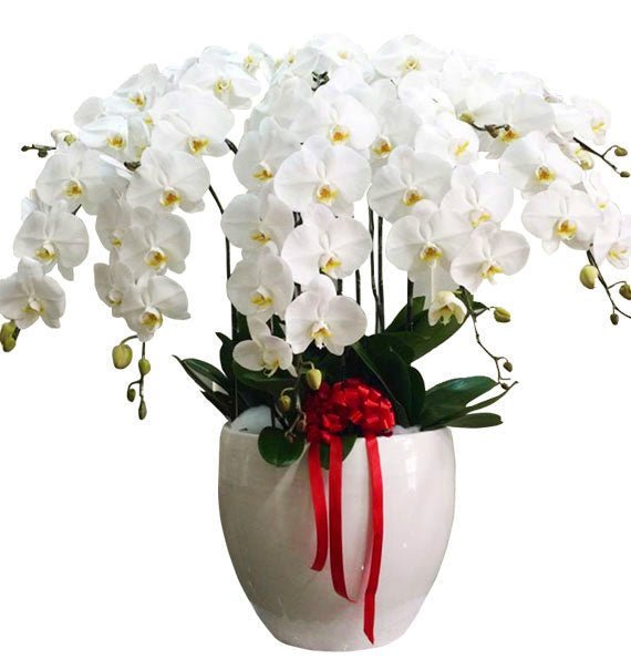 Hòa Khí Tự Nhiên