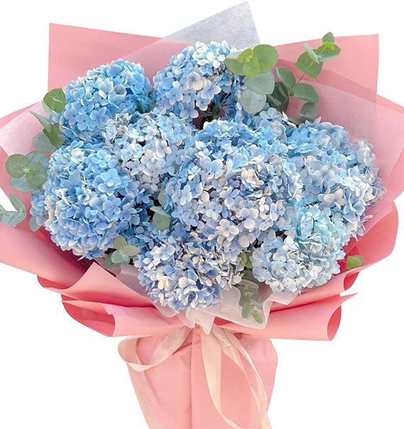 Hoa Mềm Như Lòng Mẹ