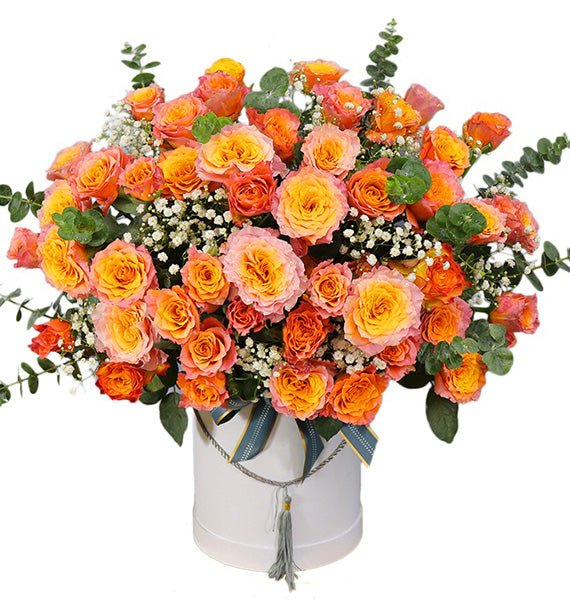 Hòa Nhịp Thiên Nhiên